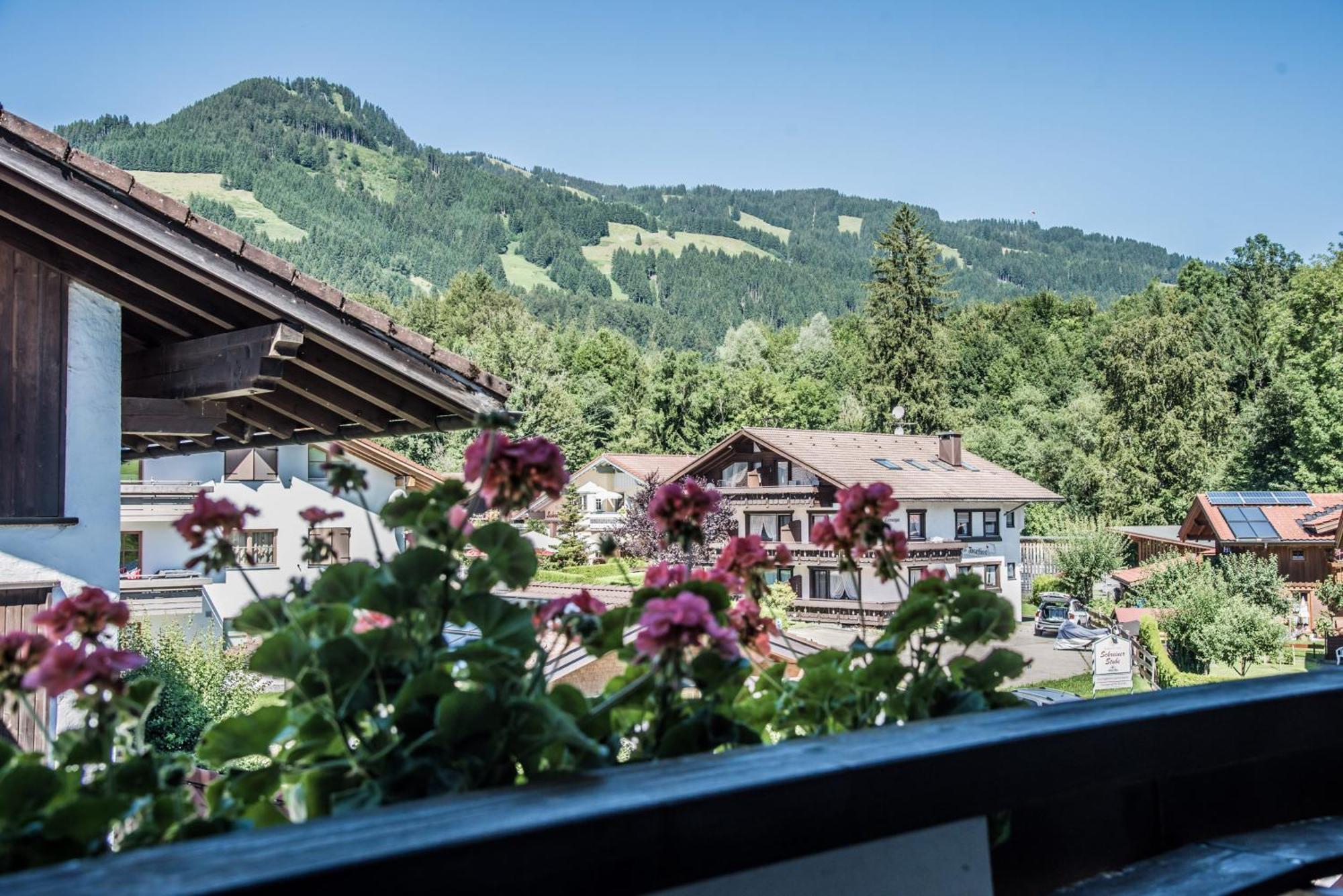 Haus Susanne - Top-Ferienwohnungen - Sommer-Bergbahn Inklusive Obermaiselstein Exterior foto