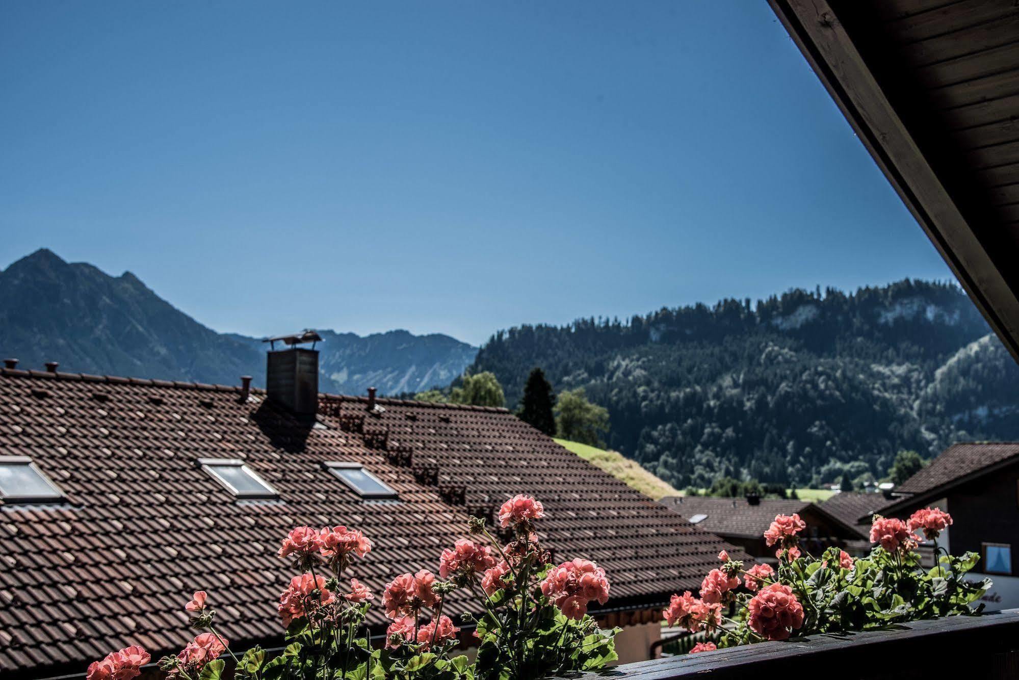 Haus Susanne - Top-Ferienwohnungen - Sommer-Bergbahn Inklusive Obermaiselstein Exterior foto